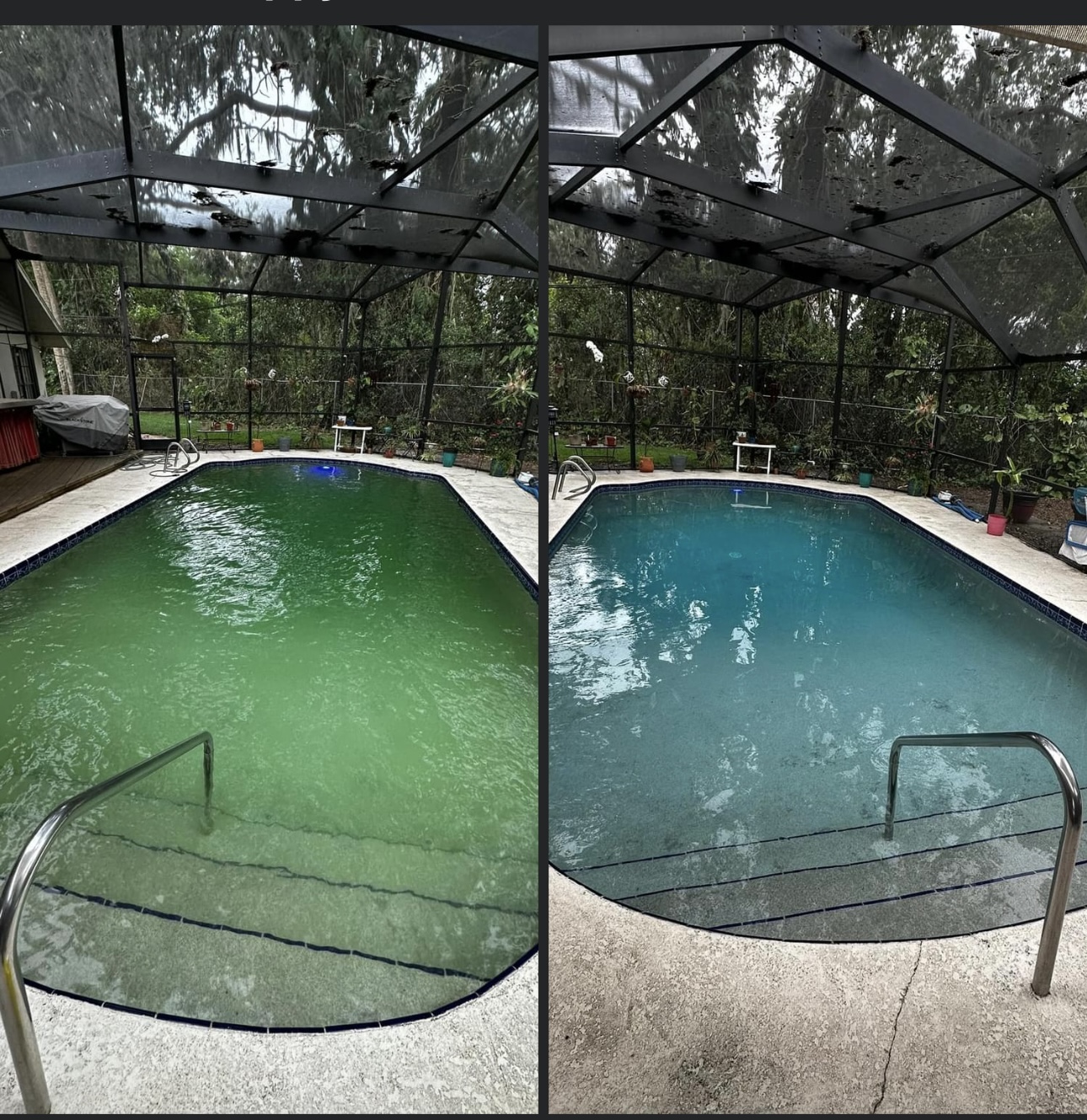Green screened pool before and after treatment