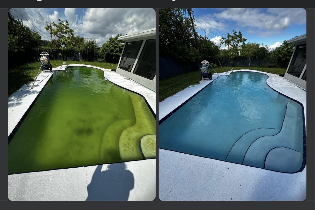 Before and after green pool cleanup