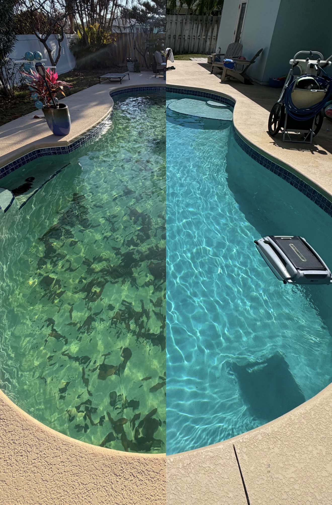 Pool water clarity improvement from weekly service